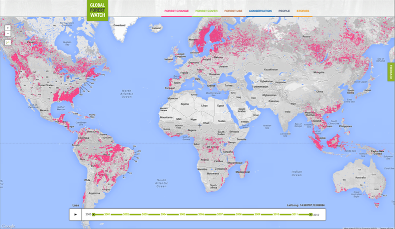 Illustration for article titled Google Launches Tool to Monitor Deforestation in Near-Realtime